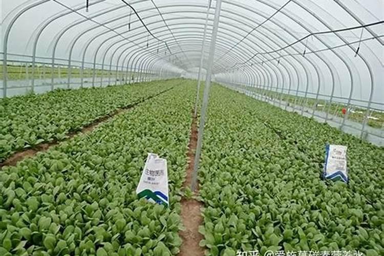 糖醇钙可以与氨基酸水溶肥还有唑醚代森联一起混用吗？