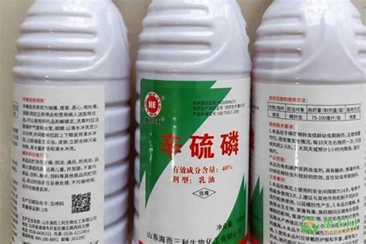 刺槐的养殖方法及注意事项,喜温暖、湿润的生长环境