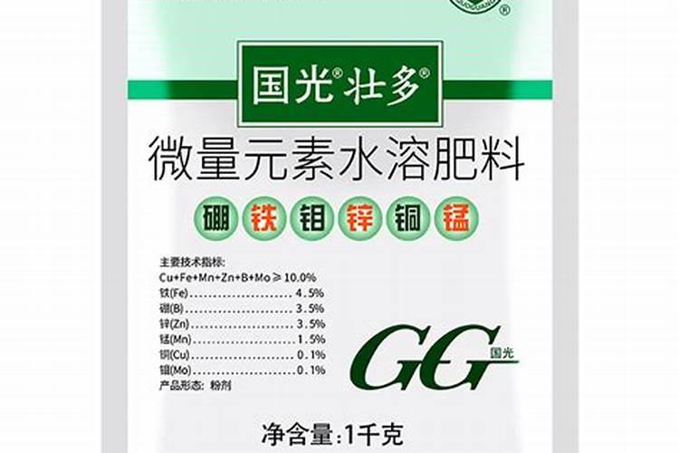 盆栽苹果的技术要点有哪些？