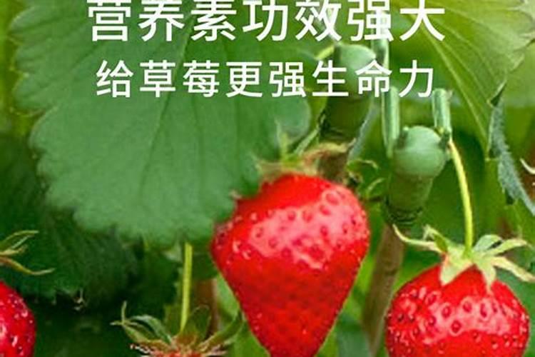 植物营养液与肥料的区别