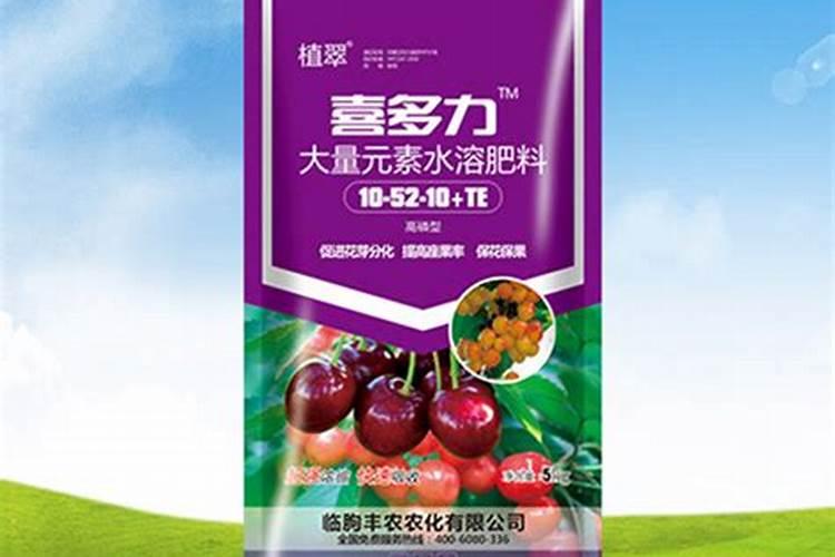 樱桃硬核期使用什么肥