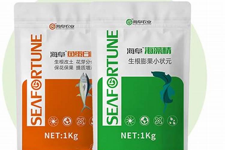 哪些品牌的鱼胶口碑比较好？
