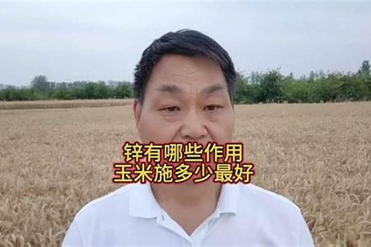 旱玉米出棒时可以施肥吗