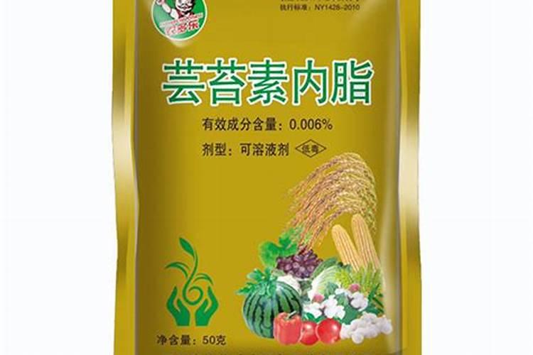 菠菜快速催芽方法