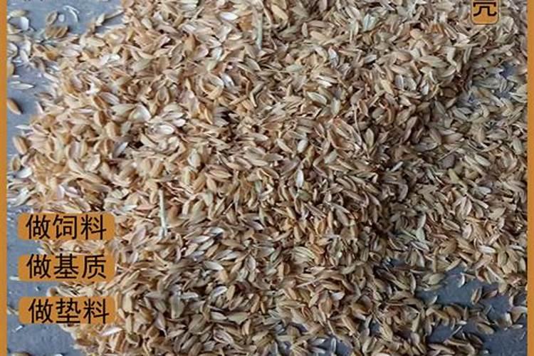 茉莉花浇什么肥料合适