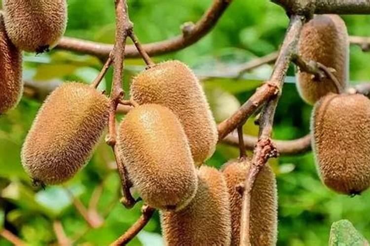 花生米发霉怎么处理比较好？