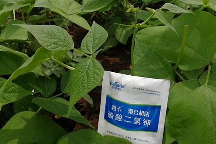 氮肥的化学表达式