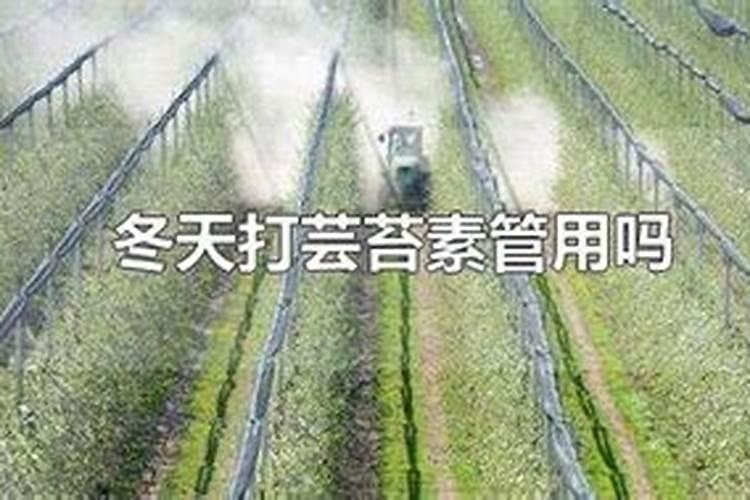 求关于肥料的一切一切!关于肥料的历史、谚语、典故。
