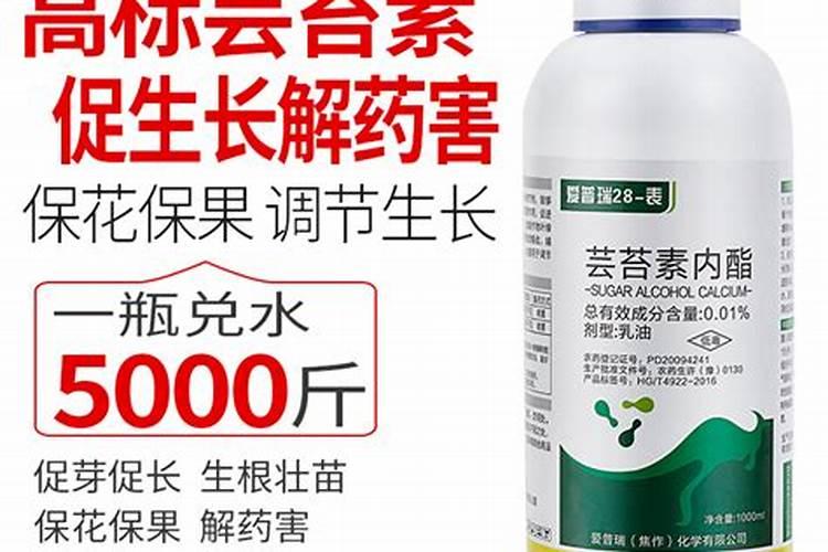 芸苔素和安基水溶肥在小麦反青期能用吗？
