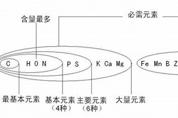 大量元素肥料和微量元素肥料有什么区别