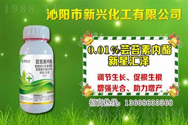 硅丰环和芸苔素有什么区别？
