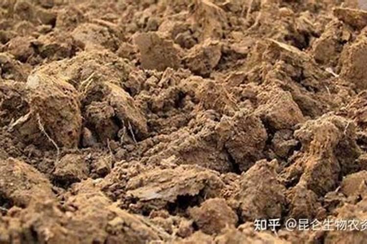 盐碱地种水稻用什么底肥和追肥效果好