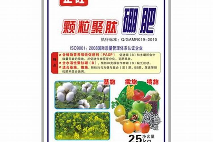 藤本月季怎么施肥