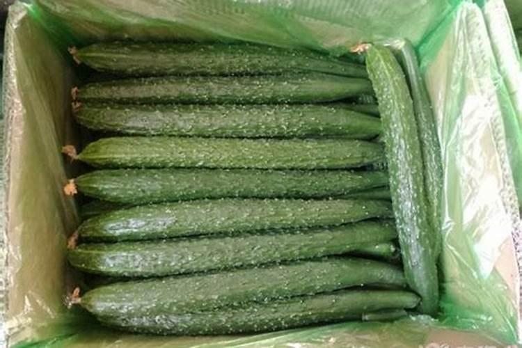 黄瓜用什么肥料产量高