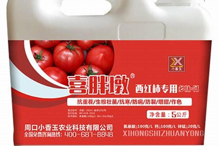 蔬菜大棚区用什么底肥比较好？