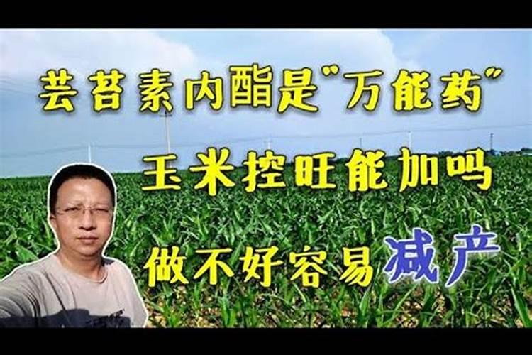 24一表芸苔素内酯用多了有害吗？