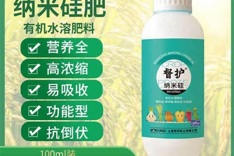 阳光玫瑰葡萄怎样种植