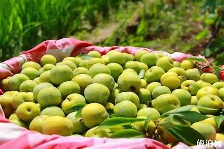 配制蔬菜无土栽培营养液可供选择的钙肥有哪些？有什么特性？