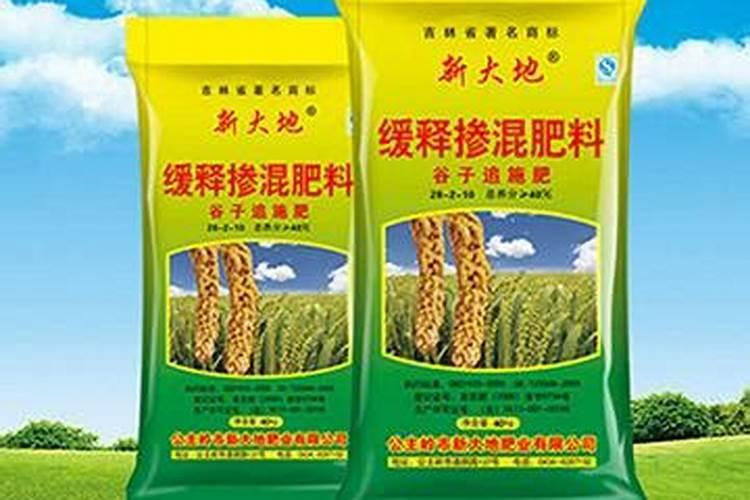 盆栽草莓怎样施肥