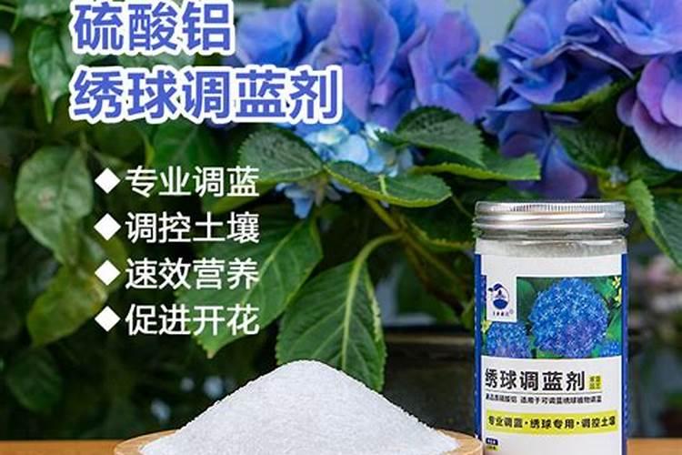 绣球调蓝剂怎么用