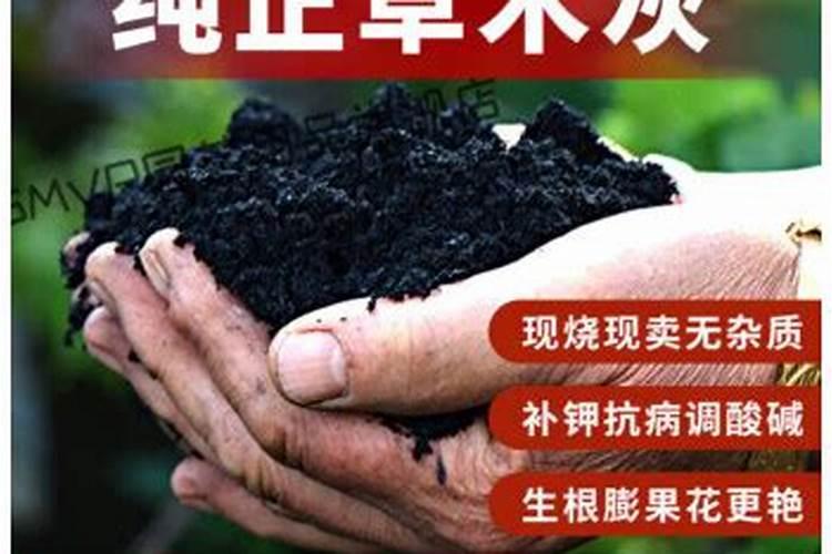 农家肥含钾最高的是？