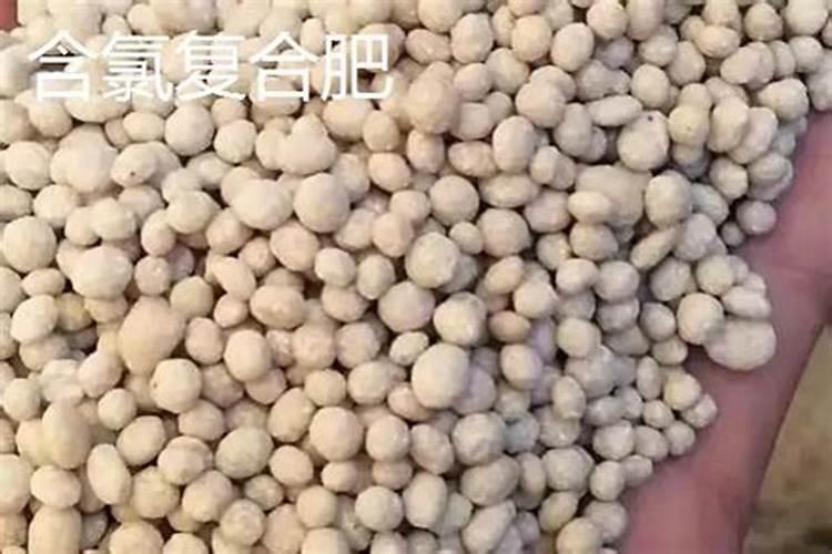 含氯的肥料可不可以用于桃树？