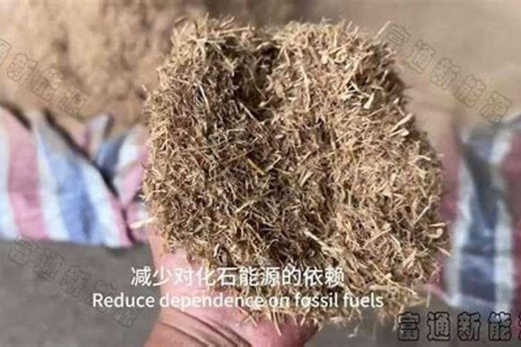 大樱桃秋季施肥用豆子和玉米,粉碎后当肥料能行吗？