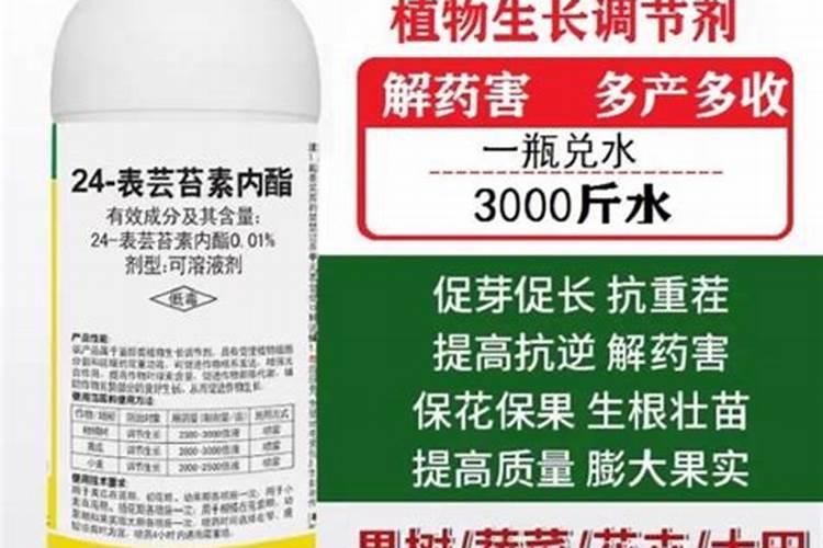 芸苔素能膨大葡萄吗？使用后会有怎样的变化？