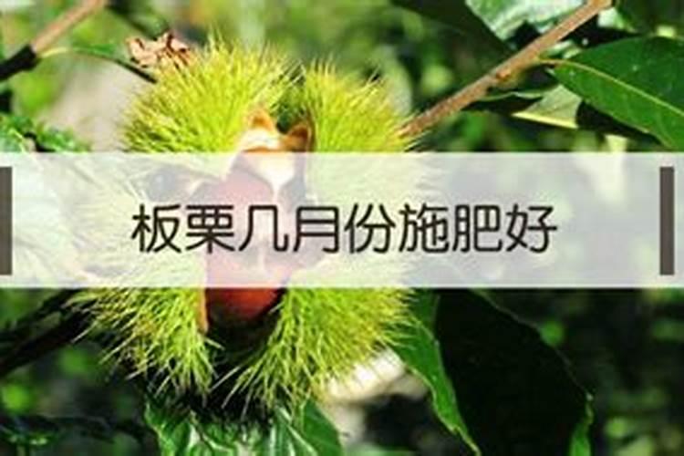 甲低吃什么好？