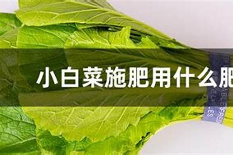 种植小白菜追肥的时候,用哪种肥料最好？