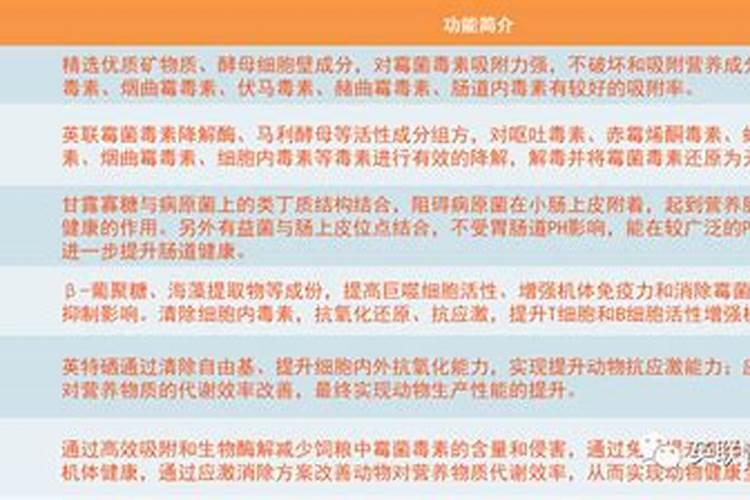 红薯如何种植才能获得高产？