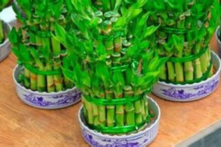 喷施农药、叶面肥,加入红糖效率翻倍？有这么神奇吗？到底咋回事百度知 ...