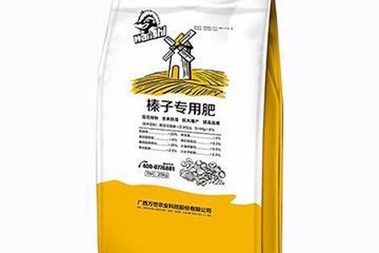 木耳菜多久施一次肥