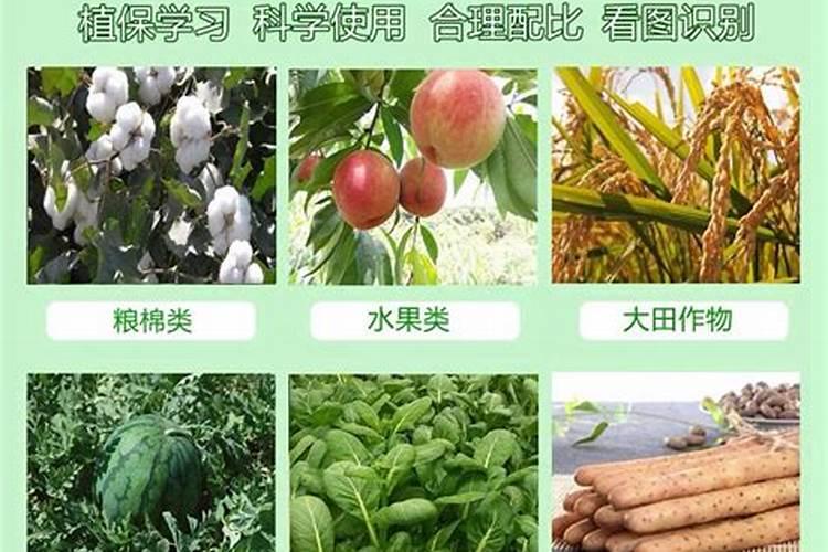 中国最好的果树叶面肥有哪些？