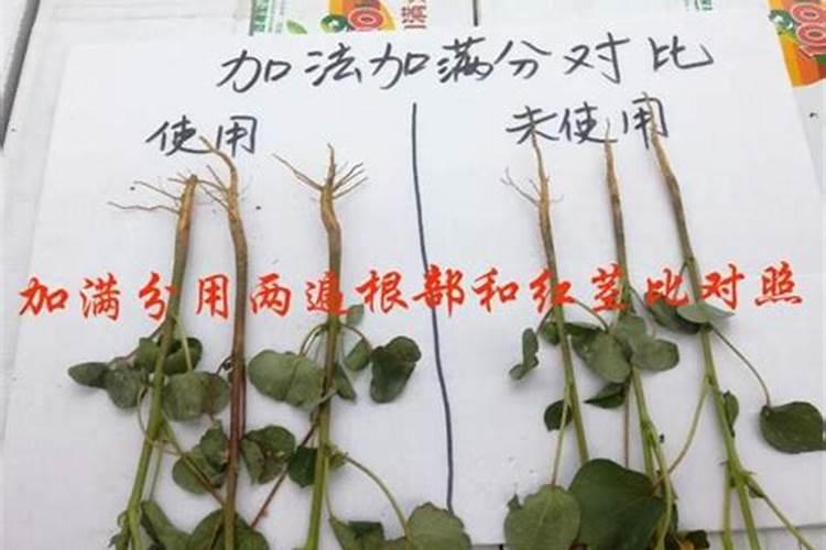请问什麼态的氮肥利於植物？铵跟氨跟胺,有甚麼差别