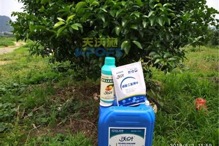 果树全年都使用水溶肥可以吗,水溶肥怎么用效果好