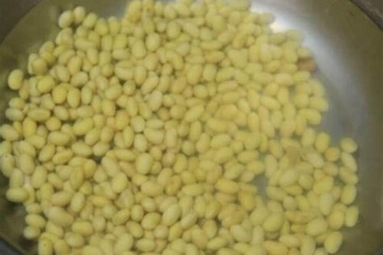 什么时间给花埋黄豆比较好,什么花适合埋黄豆
