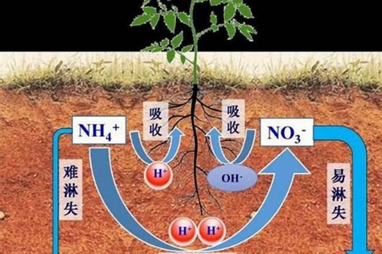 四川谷雨农业科技开发有限公司怎么样？