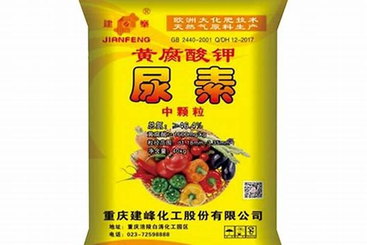 藤本月季施什么肥好