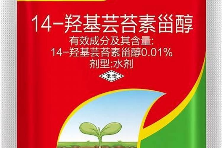 大棚蔬菜使用植物生长调节剂时,都有哪些误区？