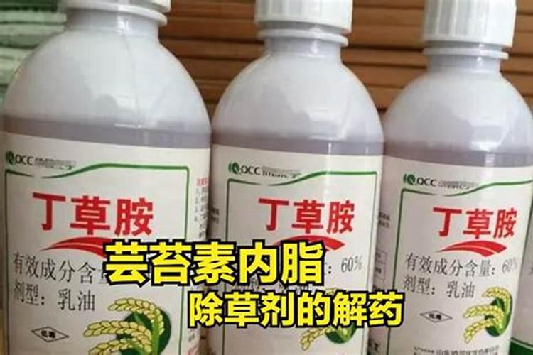植物生长调节剂有哪些用途