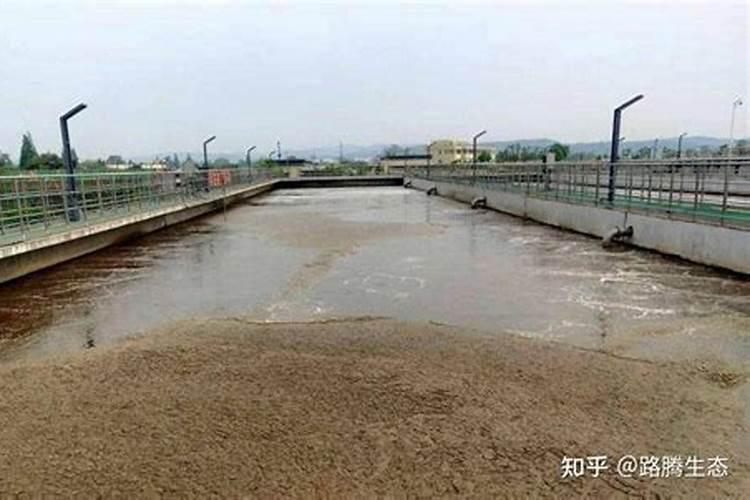 葡萄糖处理率怎么算的