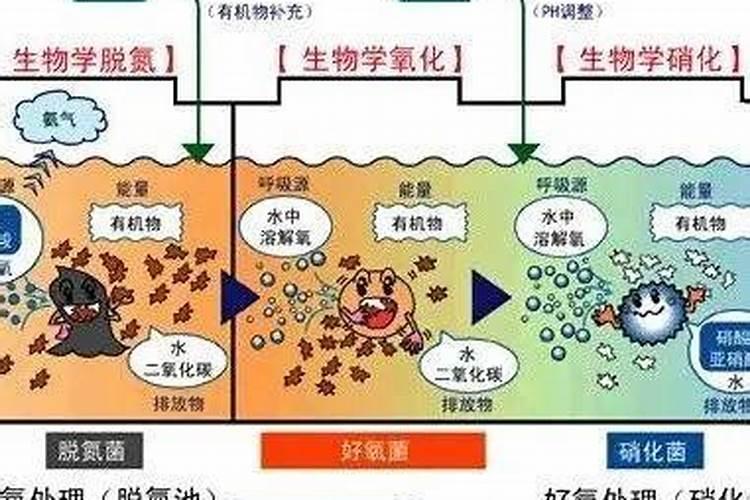 环评工程师污水处理技术基本知识答疑(37)