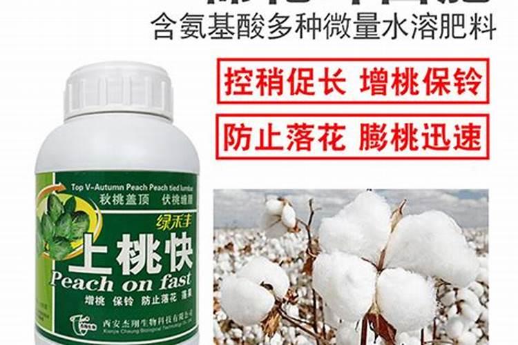 如何正确选择棉花叶面肥？施用肥料时需要注意什么？