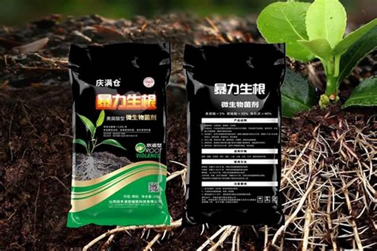 西安盛达柏森生物科技有限公司怎么样？
