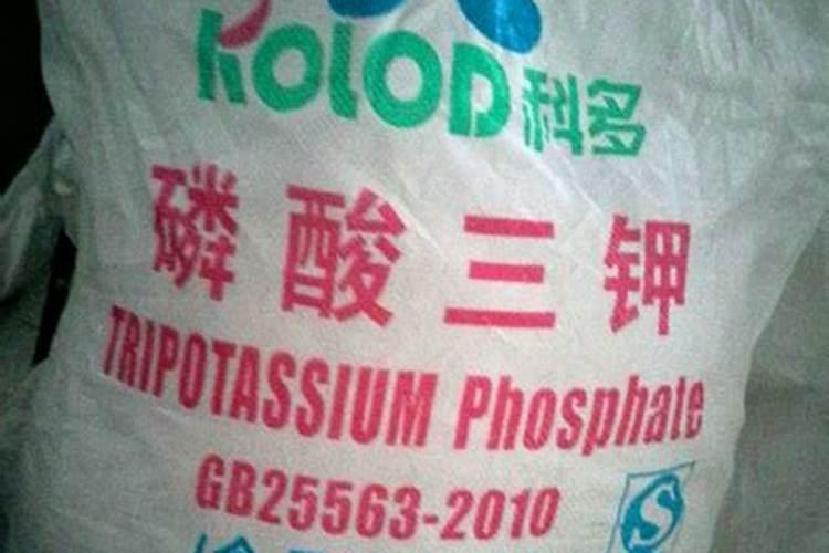 绿豆该如何种植