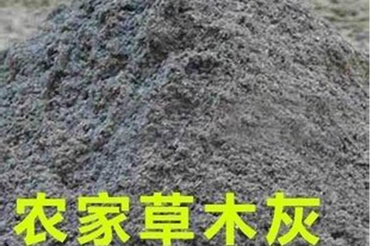 什么是矿源黄腐酸钾？