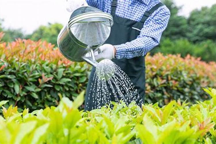 花果控释肥的使用方法