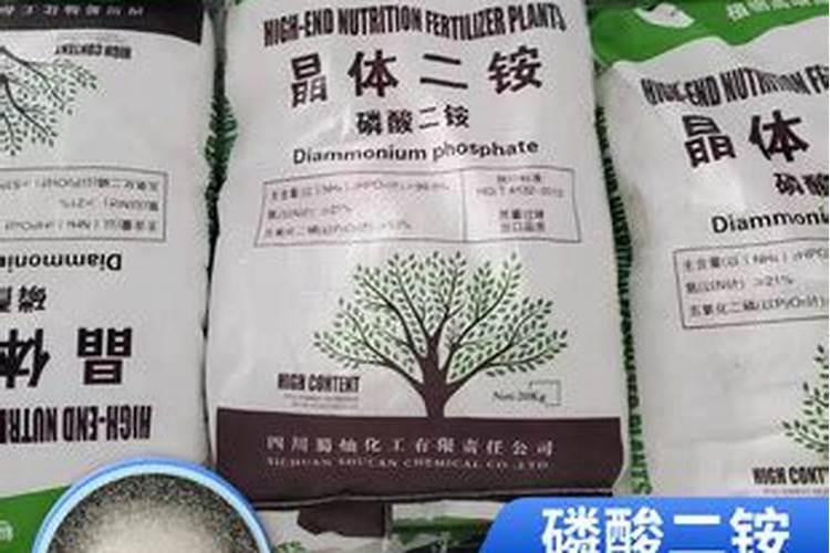 枣树叶面喷肥应注意哪些问题