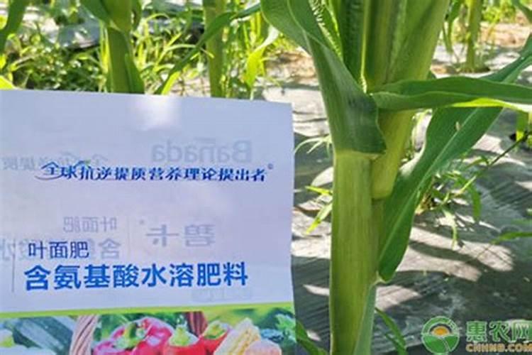 罗布泊黄腐酸型农业用硫酸钾的主要原料是什么？